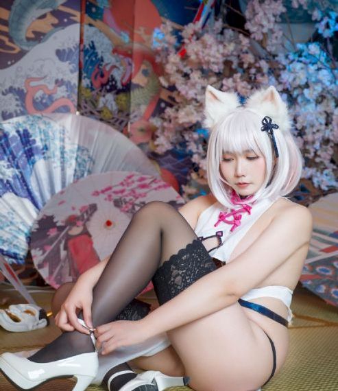 免费藏海花电视剧